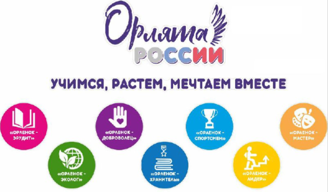 «Орлята России: шаги к социальной активности»