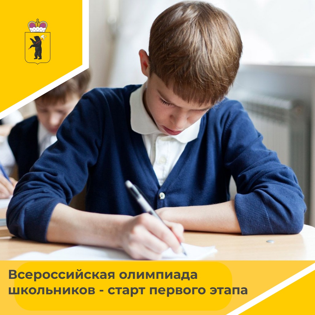 По информации Министерства просвещения, во всероссийской олимпиаде будут участвовать более 6,5 млн школьников