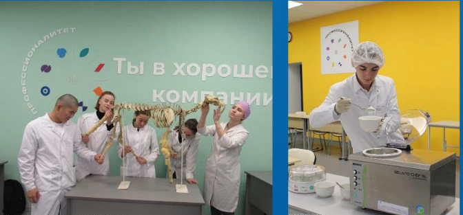 Профессионалитет - успешный старт в профессию