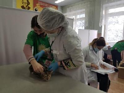 Участниками демонстрационного экзамена в первом полугодии 2022 стали более двух тысяч студентов колледжей региона
