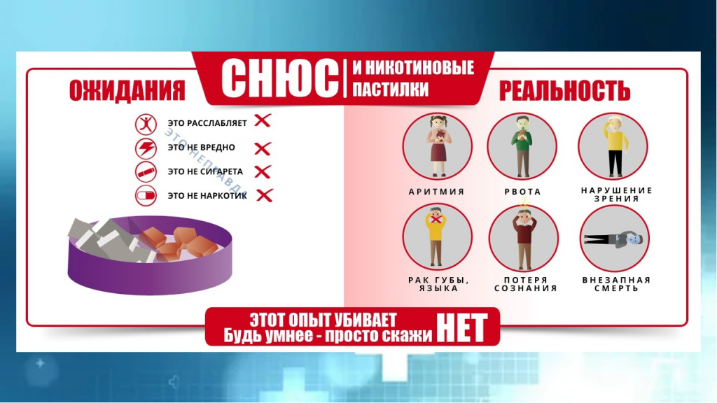 снюс.jpg