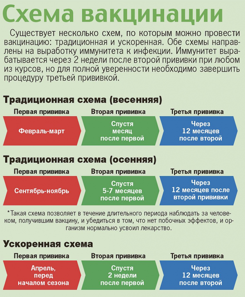 схема вакцинации.jpg